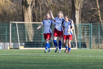 Bild 295 - F Hamburger SV 3 - Blau-Weiss 96 : Ergebnis: 5:1
